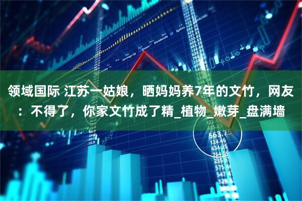 领域国际 江苏一姑娘，晒妈妈养7年的文竹，网友：不得了，你家文竹成了精_植物_嫩芽_盘满墙