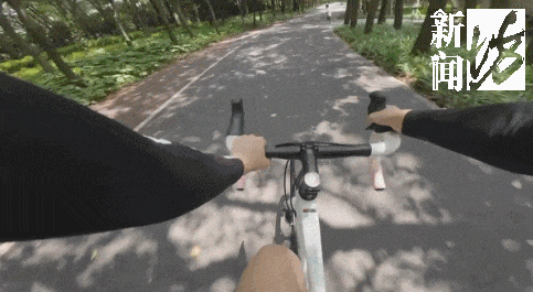 智赢策略 上海女子超速骑行遭遇小孩“回头杀”，飞出倒地致骨折